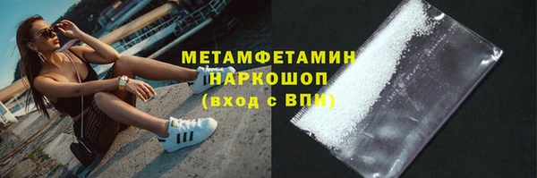 гидра Надым