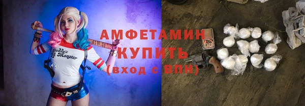 гидра Надым