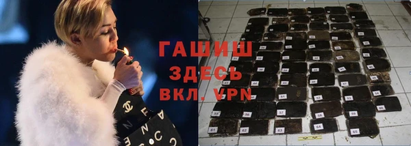 гидра Надым