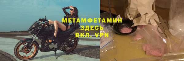 гидра Надым