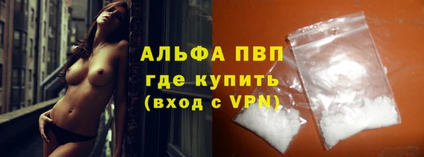 гидра Надым