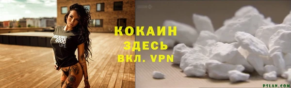 гидра Надым