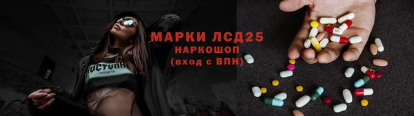гидра Надым