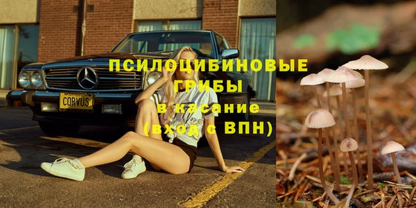 гидра Надым