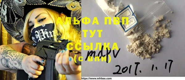 гидра Надым