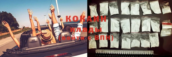 гидра Надым