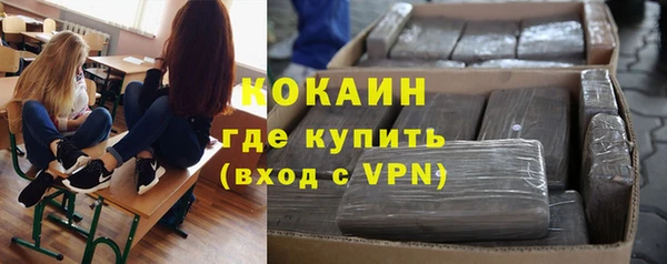 гидра Надым