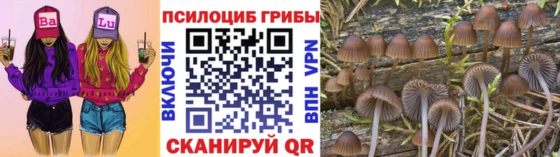 Купить где  Тайшет  Галлюциногенные грибы Magic Shrooms 
